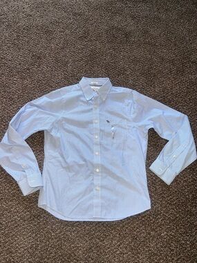 Abercrombie & Fitch Blue Striped Button-Down Shirt